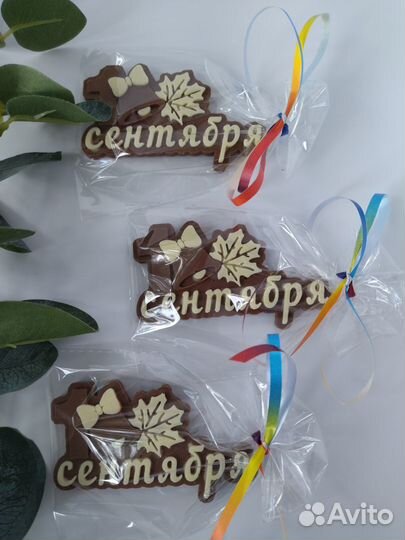 Подарок на 1 сентября бельгийский шоколад