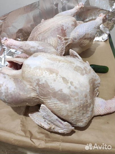 Домашнее мясо индюка индюшатина