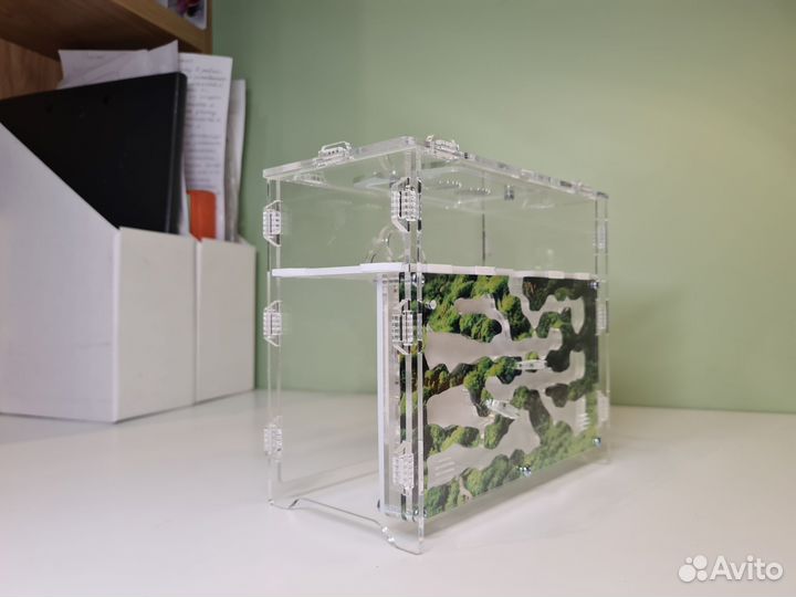 Муравьиная ферма