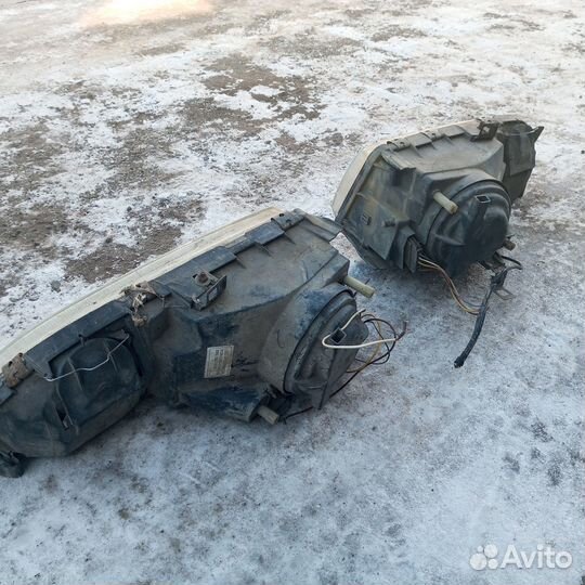 Вары подойдут к Фреду