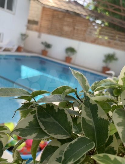 Комната 25 м², 2/4 эт.