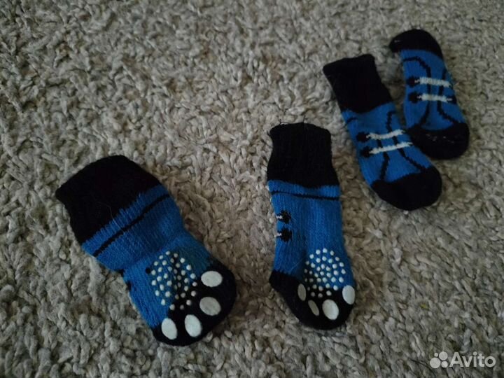 Обувь для маленьких собак