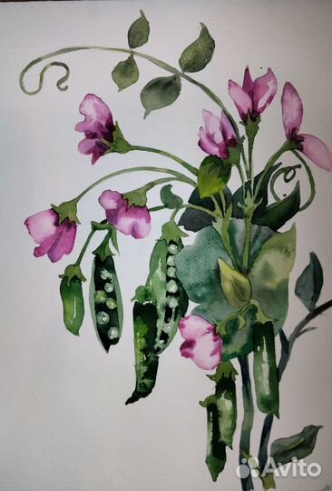 Акварель. Иллюстрации. Картины