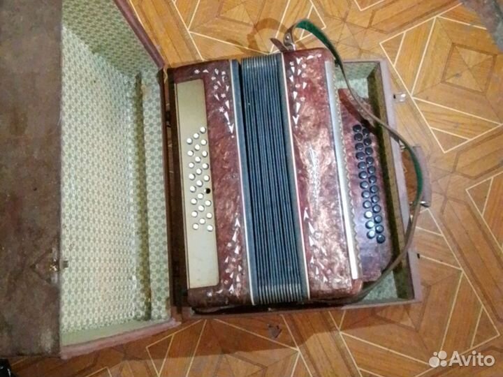 Баян весна 3