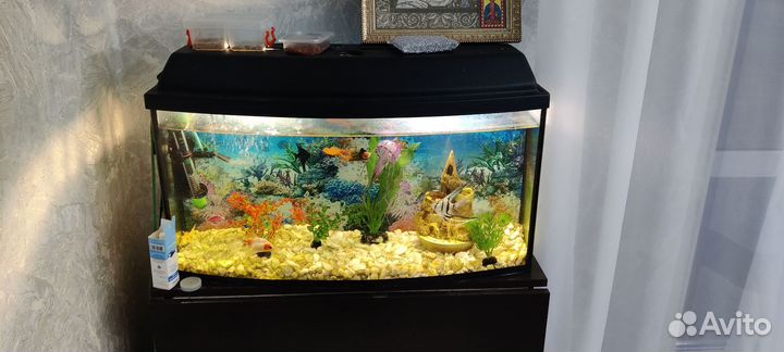 Аквариум