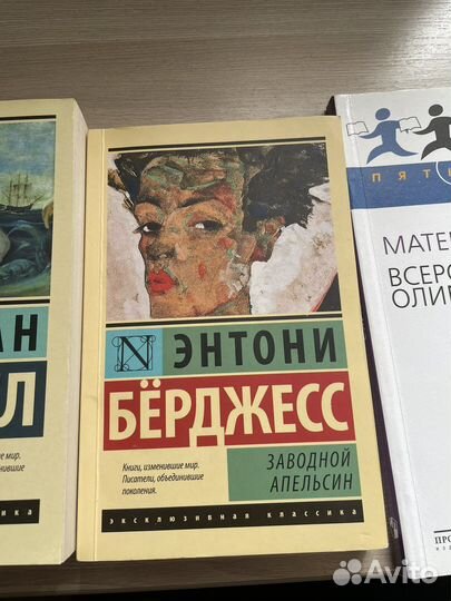 Книги: Заводнойапельсин, мобидик, Самоцветный быт