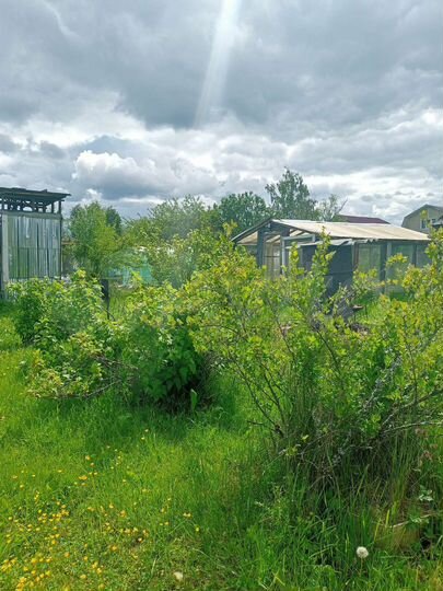 Дача 35 м² на участке 10 сот.