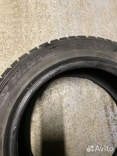 Dunlop All Season Maxx AS1 195/55 R16 84L