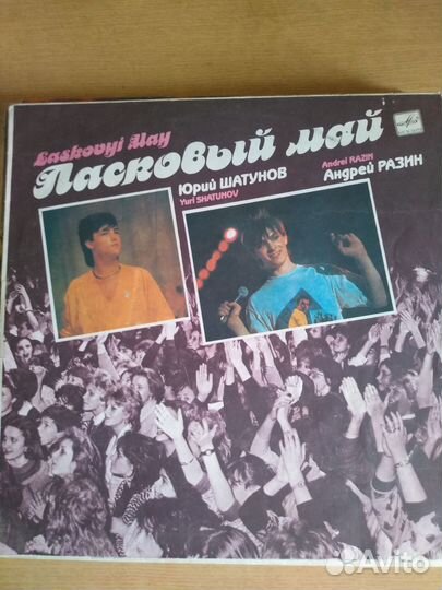 Виниловые пластинки