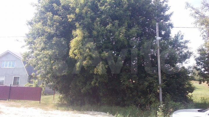 Участок 32 сот. (ИЖС)