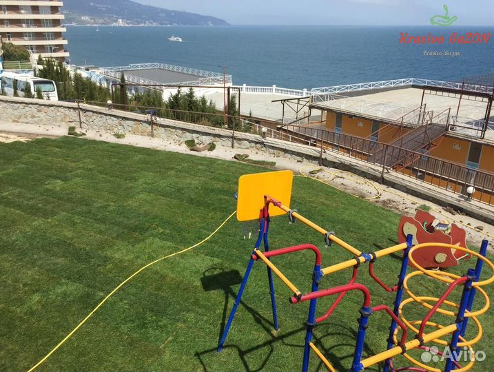 Рулонный газон Новороссийск