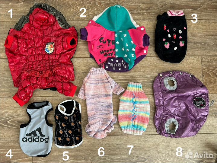 Одежда для маленьких собак