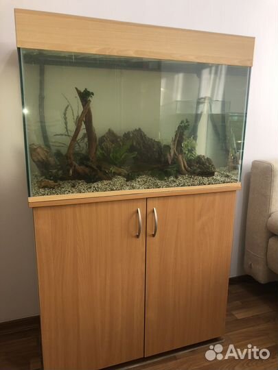 Обслуживание аквариумов