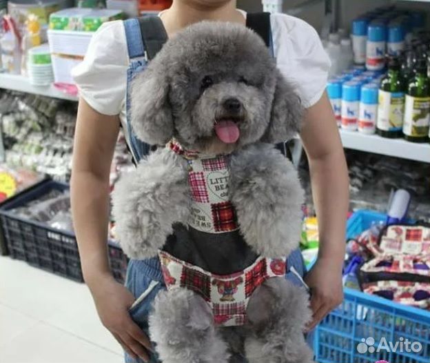 Рюкзак-кенгуру для собаки или кошки