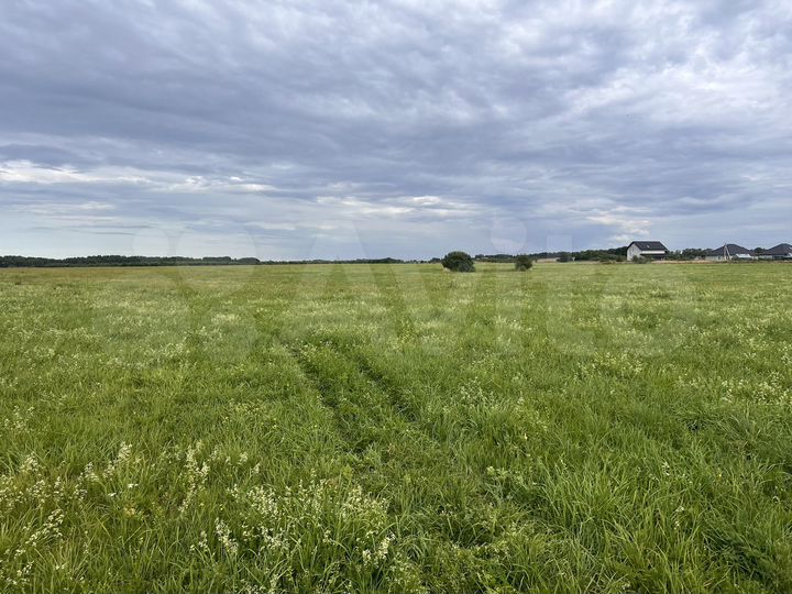 Участок 6 га (СНТ, ДНП)