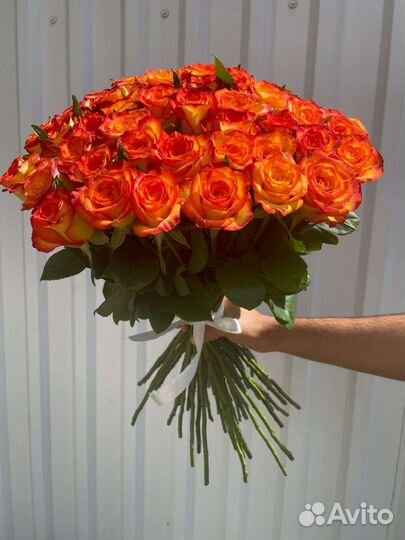 Роза 51 доставка 24/7 роза 101/21/15