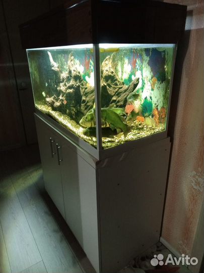 Аквариум