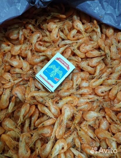 Креветка свежемороженная