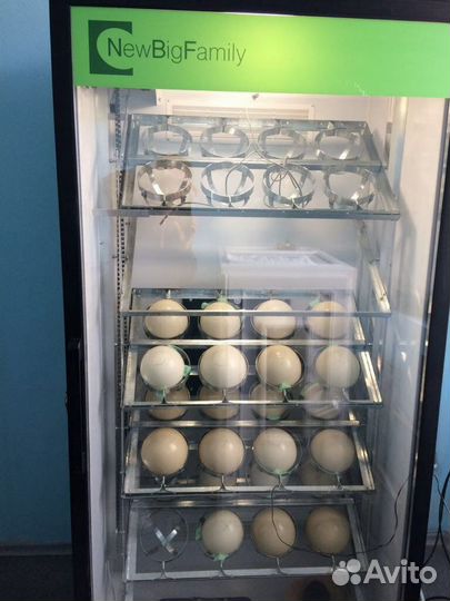 Инкубатор на 1350 яиц