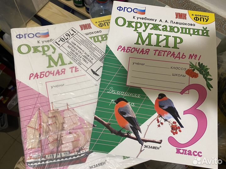 Рабочая тетрадь окружающий мир 3 класс
