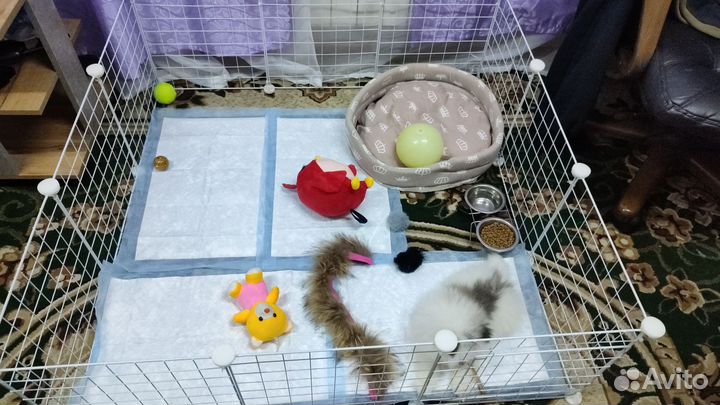 Вольер для щенков