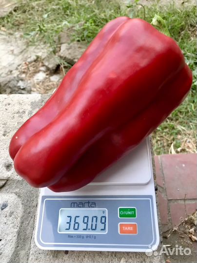 Семена перца Сладкий Гигант