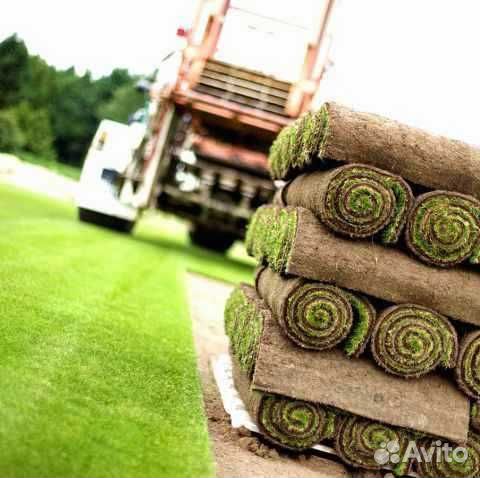 Рулонный газон от производителя