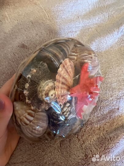 Набор ракушек подарочный для аквариума