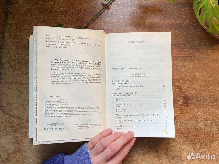 Зарубежная поэзия в пер.Пастернака