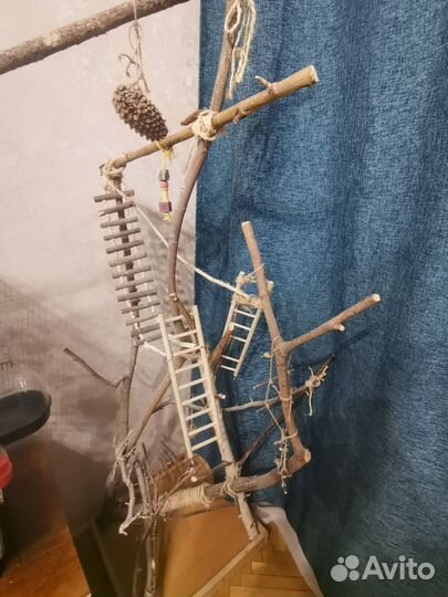 Дерево для попугаев