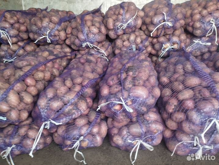 Продукты питания оптом