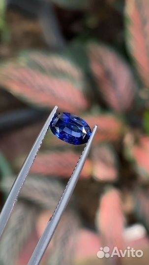 Сапфир натуральный 1.46 карат овал роял блю