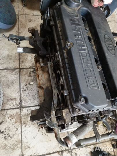 Двигатель s6d kia spectra