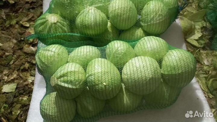 Капуста оптом