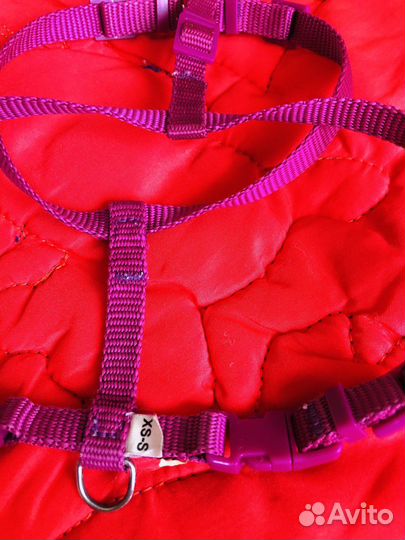 Одежда для маленьких собачек, шлейка