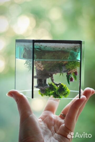 Моссариум Флорариум с японским колодцем цукубаи