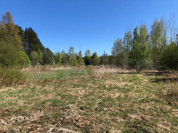 Участок 26,9 сот. (СНТ, ДНП)