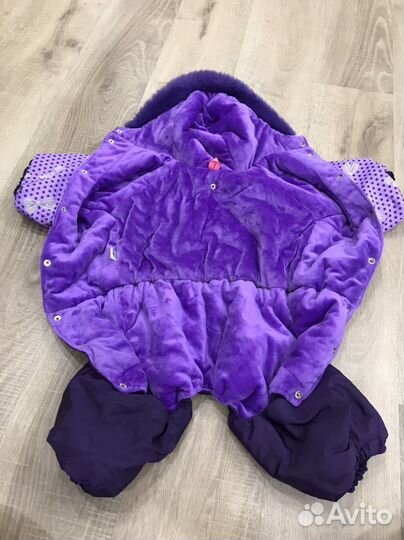 Одежда для собак