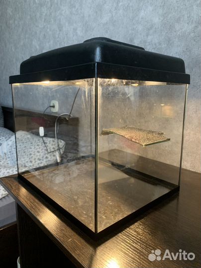 Аквариум