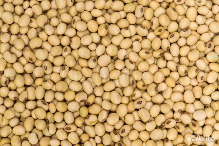 Соя бобы