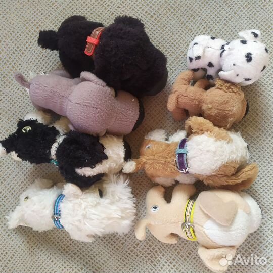 The dog collection
