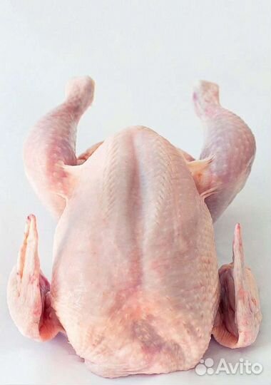 Мясо домашнего бройлера