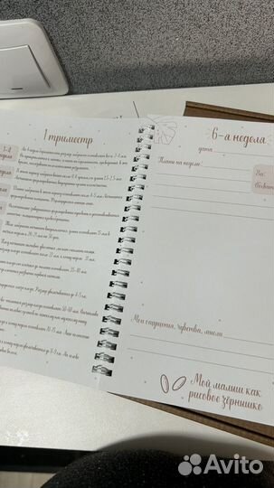 Дневник беременности