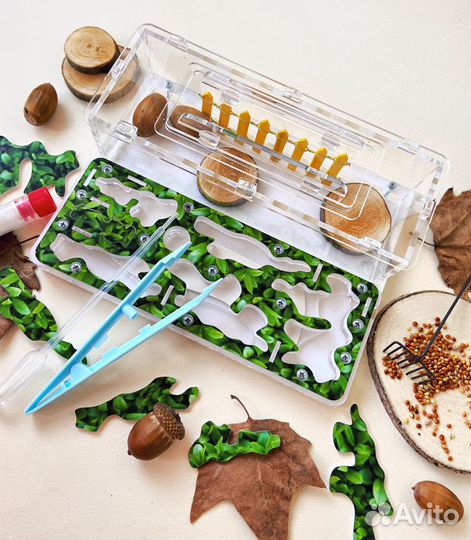 Муравьиная ферма с муравьями