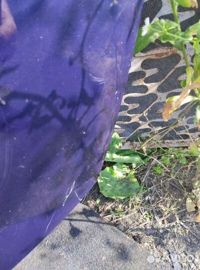 Капот фольксваген гольф-5