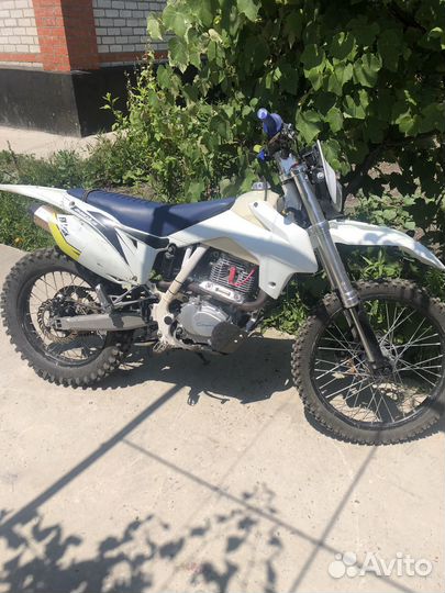Avantis fx lux 250 172 fmm