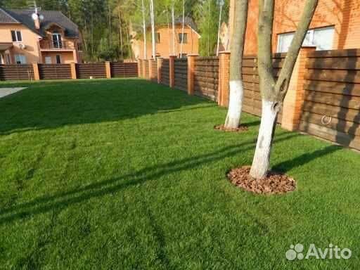 Рулонный газон /продажа/укладка
