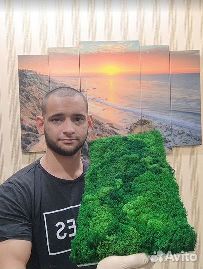 Вечно живой мох на готовых панелях 25х50см