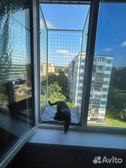 Балкончик для кошки, антикошка