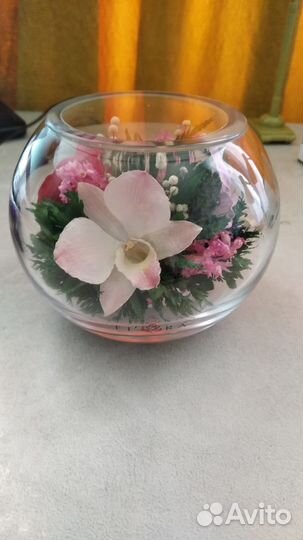 Цветы в вакууме